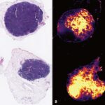 Wetenschap-in-Meander-okt-2023-Image19